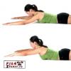 Как накачать мышцы спины: упражнения и программа тренировки спины на массу и ширину